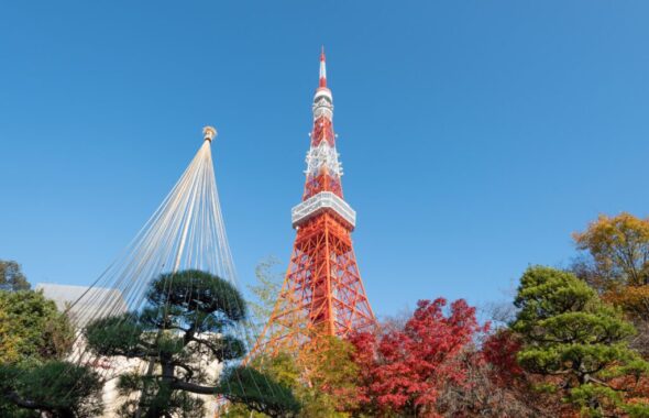 青天時の東京タワー
