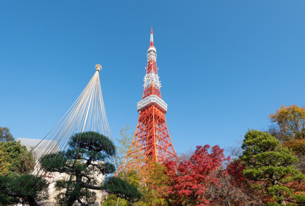 青天時の東京タワー