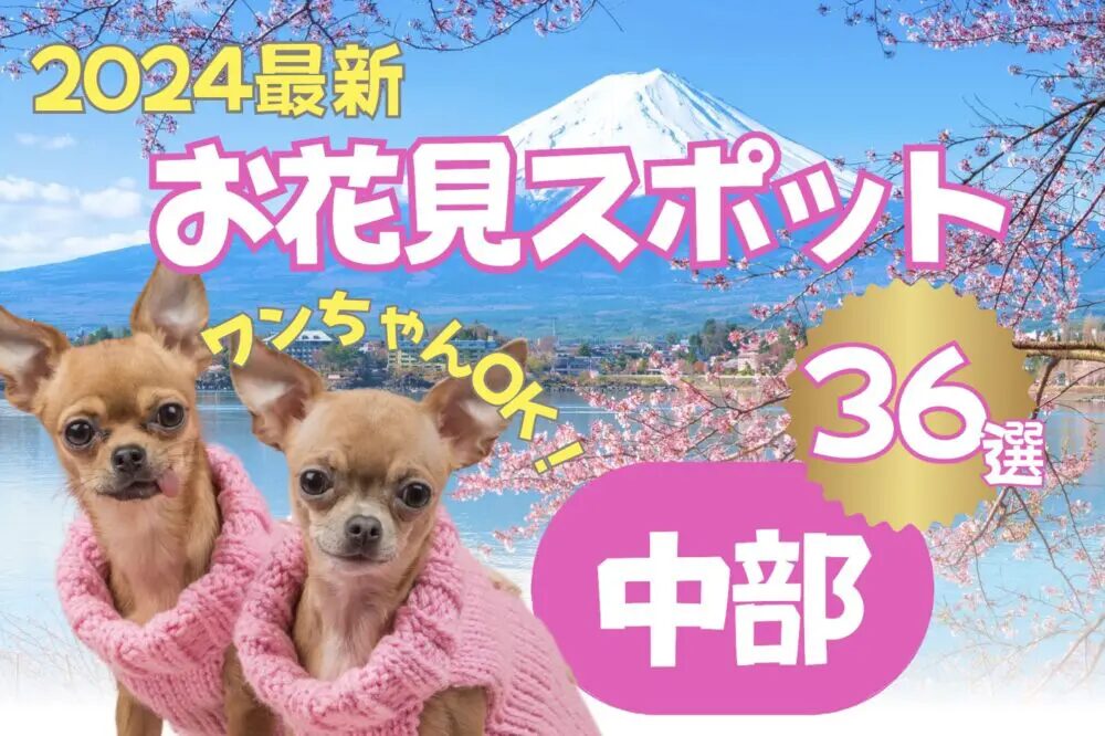 富士山とピンシャー犬が映った中部お出かけスポット表紙