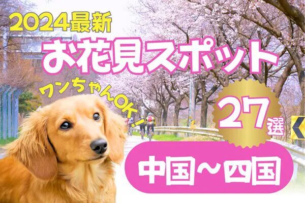 犬とお花見、桜のスポット紹介中国四国地方版ダックスフンド