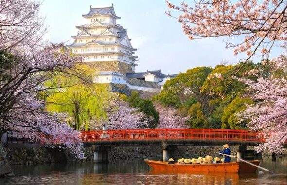 大阪中央区大阪城公園の桜