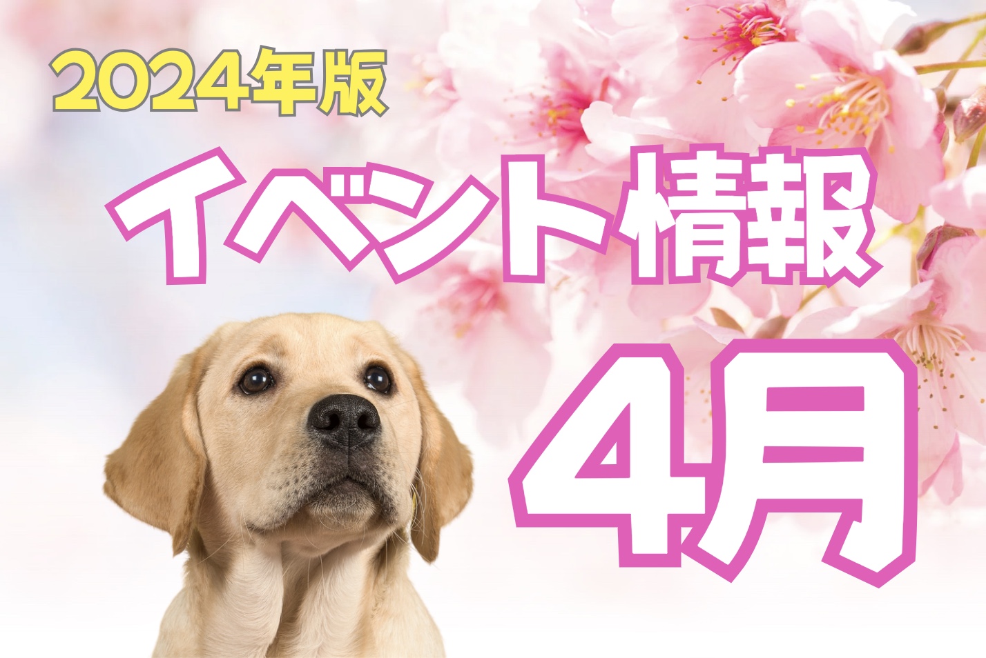ハピプレ2024年4月犬イベントTOP桜と犬