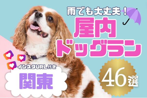 ドッグラン46選記事の表紙キャバリア犬