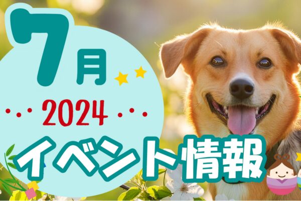 ハピプレワンちゃんイベント2024年7月表紙七夕と犬