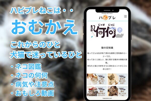 猫メディア「ハピプレ」紹介写真