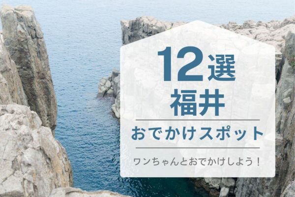 福井県おでかけ何選ハピプレの表紙