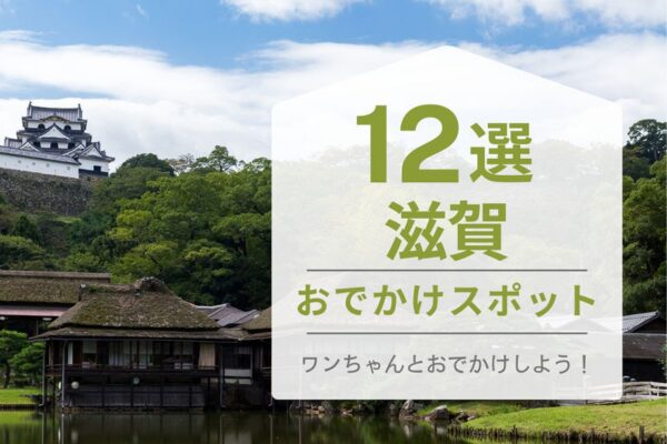 ハピプレのおでかけ何選滋賀県の表紙