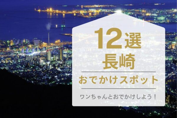 わんちゃんおでかけ何選長崎のハピプレ表紙