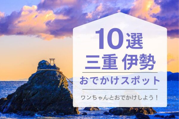 ハピプレが提供するわんちゃんおでかけ何選三重県版2024お表紙